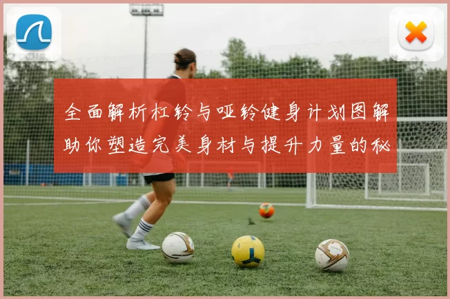 全面解析杠铃与哑铃健身计划图解助你塑造完美身材与提升力量的秘诀